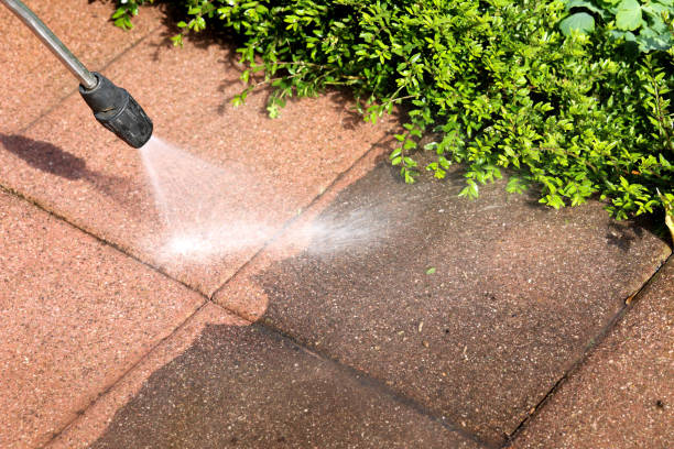 Best Exterior Home Cleaning  in Falling Water, TN